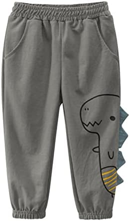 Cute Dinosaur Pull-On Pants for Toddlers