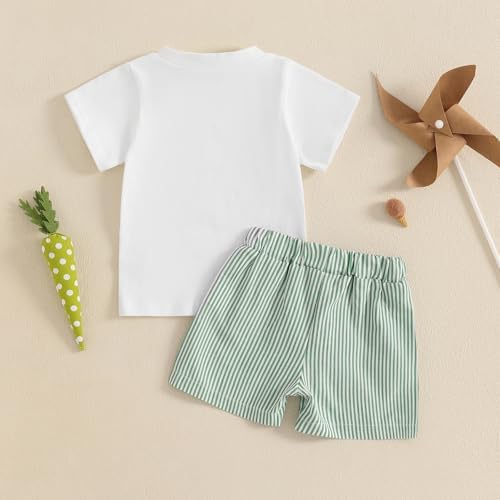 Lamuusaa Cute Toddler Easter Outfit T-Shirt Shorts Set