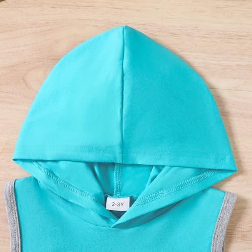 Stylish and Comfortable Toddler Boys Clothing Set for Summer