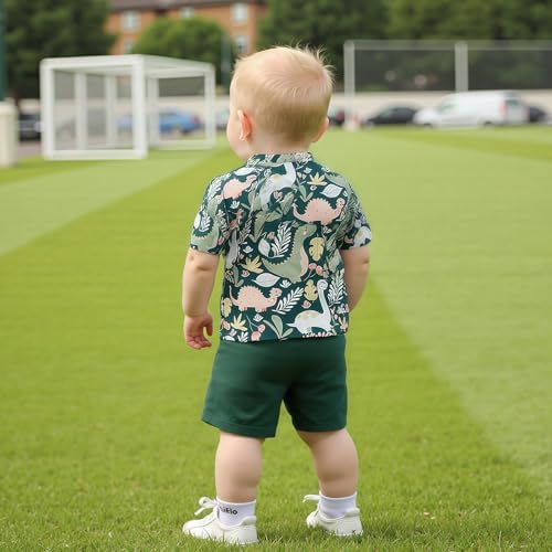 Dinosaur Print Toddler Shorts Set