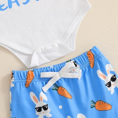 Easter Baby Boys Wall-E Carrot Letter Print Romper Set
