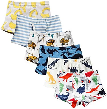 Evelin LEE 6-Pack Adorable Cotton Boyshorts