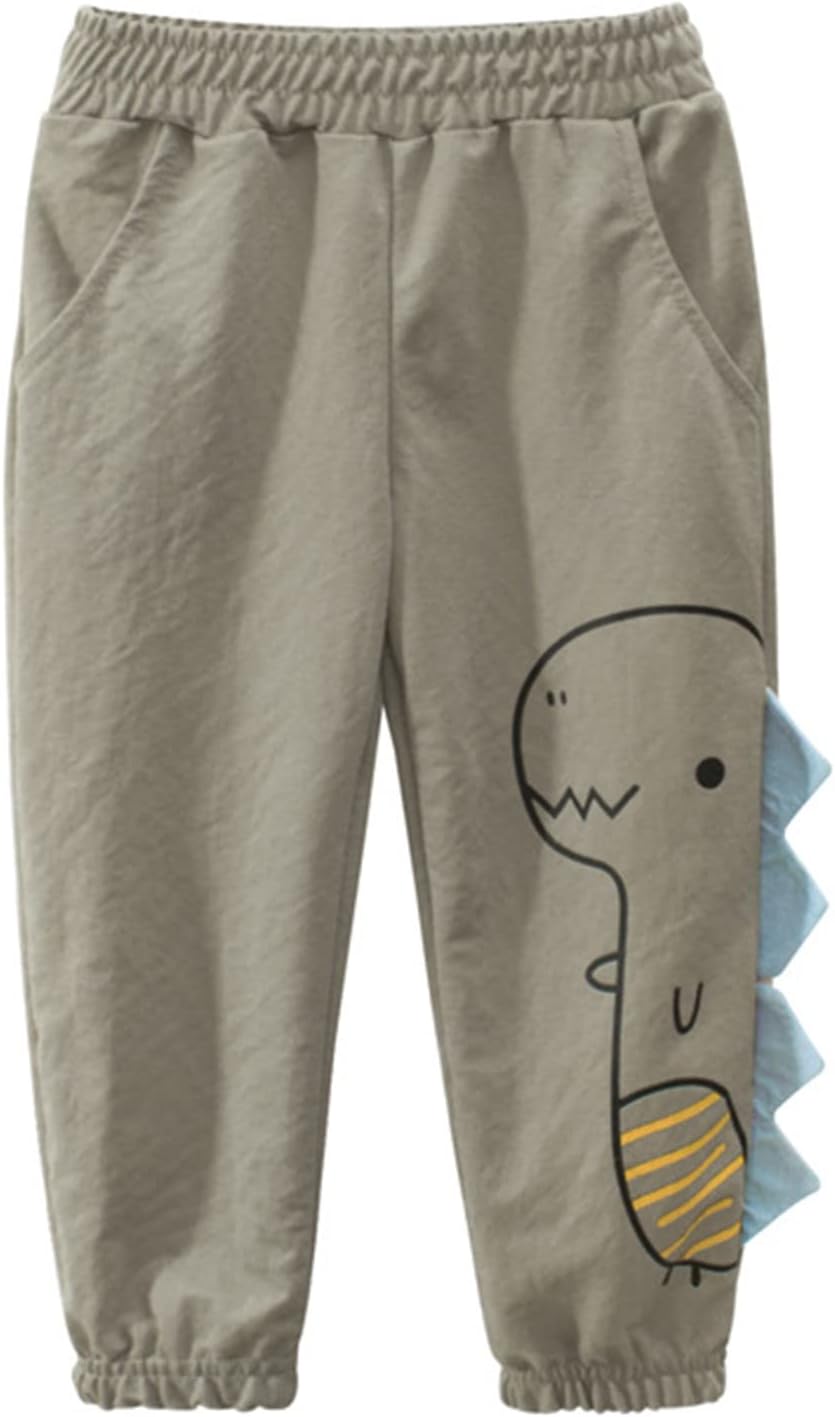 juniors unisex dinosaur print pull-on sweatpants for boys