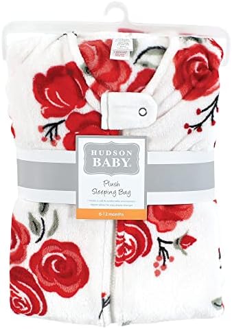 Hudson Baby Unisex Chuck-a-Lunch Blanket