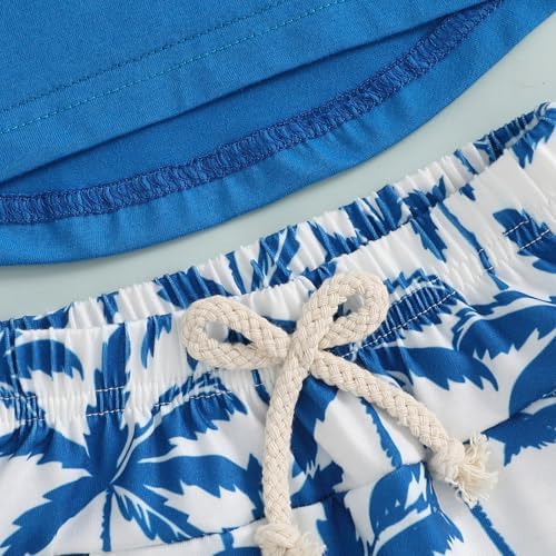 Toddler Boys Summer Set