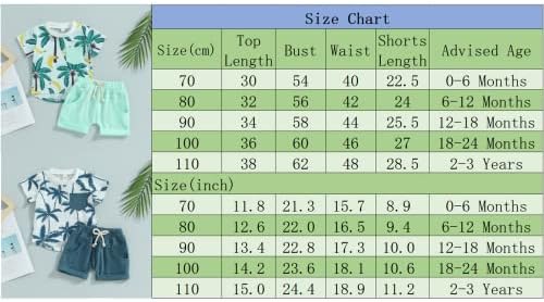 Saliuentm Toddler Beach Set tropical t-shirt and shorts