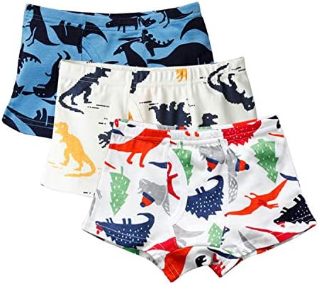 Evelin LEE 6-Pack Adorable Cotton Boyshorts