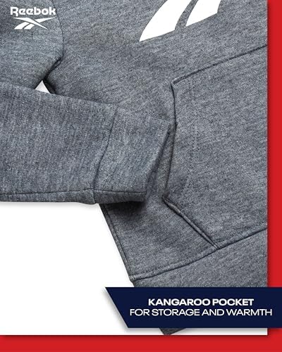 Reebok toddler boys fleece sweatshirt and jogger set
