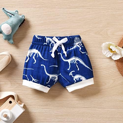 HINTINA Dinosaur Preemie Boys Clothing Set