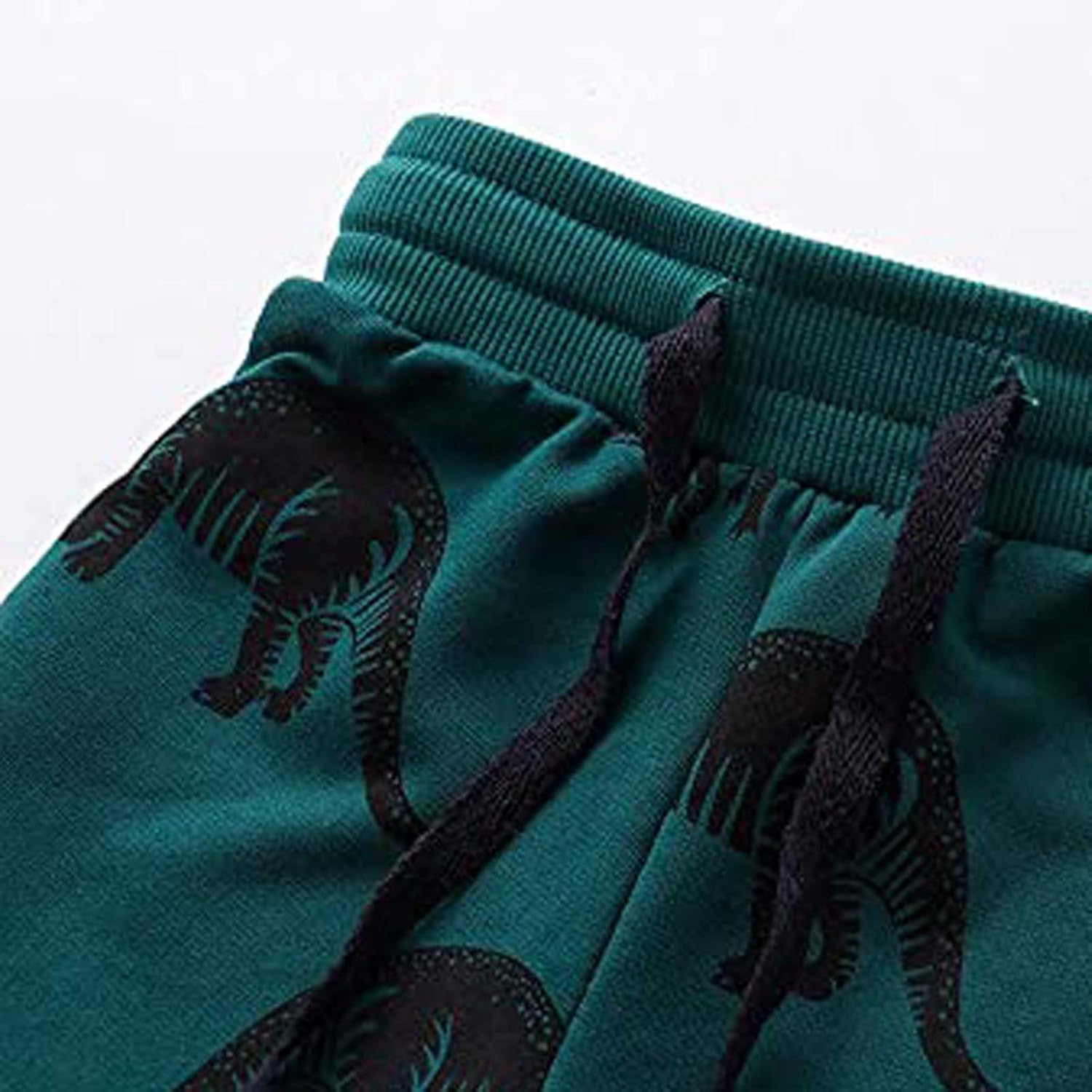 Dinosaur Pattern Cotton Boys Drawstring sweatpants